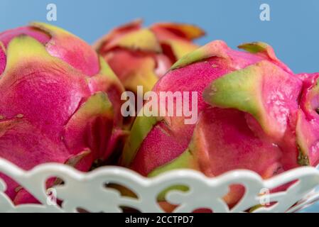 Pitaya Früchte. Drachenfrucht. Blauer Hintergrund. Pitaya ist eine natürliche Frucht aus Mexiko und Mittelamerika, aber es wird auch in anderen Orten wie Bra angebaut Stockfoto