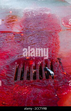 Extinction Rebellion befleckt die Brunnen am Trafalgar Square für ihre Blut An Den Händen Stockfoto