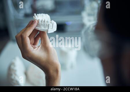 Kaukasische männliche Hand hält das zahnärztliche Modell Stockfoto