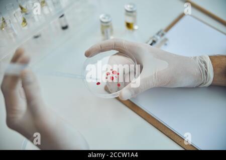 Biochemiker Zugabe einer flüssigen Lösung zu einer Testprobe Stockfoto
