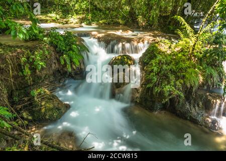 Die Agua Azul Wasserfälle sind eine Reihe von Kaskaden am Xanil Fluss in Chiapas, Mexiko. Der Fluss ist wegen des hohen Mineralstoffes c türkis Stockfoto