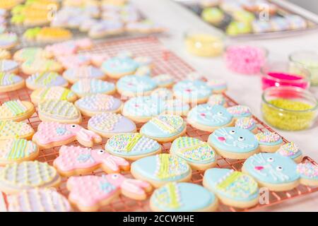 Ostern Sugar Cookies mit Royal Vereisung von verschiedenen Farben dekoriert. Stockfoto