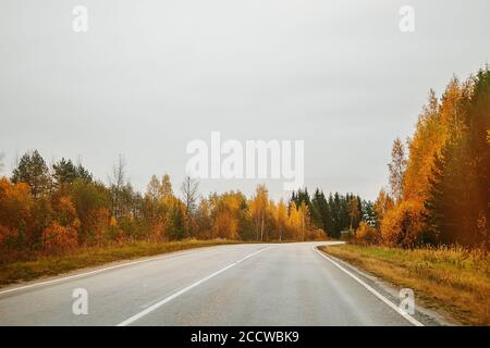 Leere Straße zwischen den Herbstwäldern, Perspektive. Wunderschöne Regenlandschaft. Stockfoto