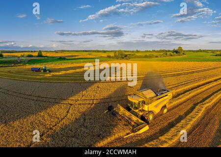 Ernte in Warmia im Nordosten Polens Stockfoto