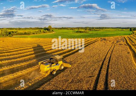 Ernte in Warmia im Nordosten Polens Stockfoto