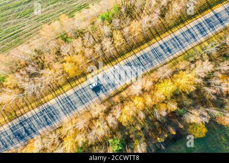 Herbstlandschaft mit Landstraße zwischen bunten gelben Bäumen mit langen Schatten. Luftaufnahme von fliegenden Drohnen Stockfoto