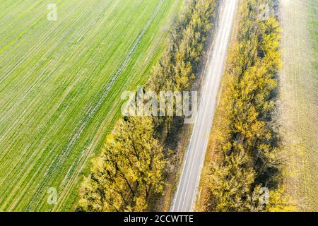 Luftaufnahme der Landstraße, bunte Herbstbäume und Felder. Drohne Foto Blick nach unten Stockfoto