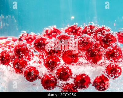 Rote Perlen im Wasser mit Blasen, Weihnachtskarte, Abstraktion Stockfoto