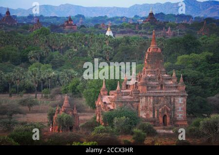 Alte Tempel und Pagoden in Bagan Myanmar mit üppigen Bäumen Stockfoto