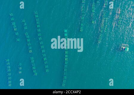 Viele Meeresfarmen in einem blauen Meerwasser. Konzept der Meeresbewirtschaftung Stockfoto