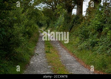 Der Weg führt zu einem Bauernhof und Scheunen Stockfoto