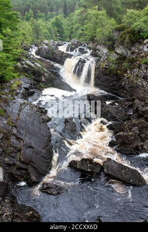 Rogie Falls in der Nähe von Inverness, Schottland Stockfoto