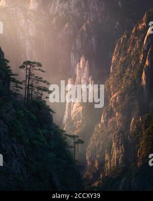 Ikonische Felsformation der Gelben Berge. XiHai Grand Canyon, Huangshan Berge. Anhui Provinz, China Stockfoto