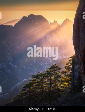 Wunderschöner Sonnenuntergang in den Gelben Bergen. Huagshan Berge ist berühmt mit felsigen Bergen und Pinien. Anhui Provinz, China Stockfoto