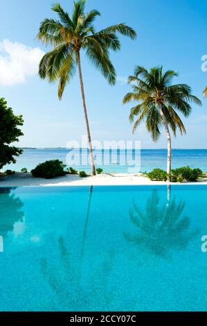 Blick über den Pool auf (Cocos nucifera), dahinter das offene Meer, Filaidhoo, Raa Atoll, Malediven Stockfoto