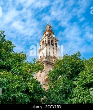 Kirchturm, Veranda, Patio de los Naranjos, Mezquita, Mezquita-Catedral de Cordoba oder Kathedrale der Empfängnis unserer Lieben Frau, Cordoba, Provinz von Stockfoto