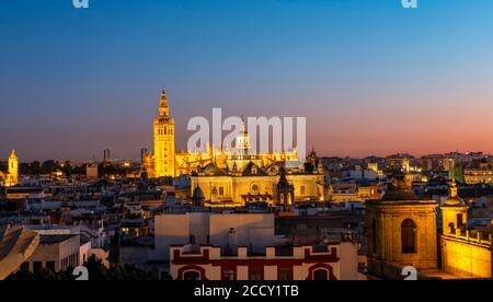 Blick vom Metropol Sonnenschirm über die Stadt, beleuchtete Kathedrale von Sevilla mit Turm La Giralda, blaue Stunde, Sevilla, Andalusien, Spanien Stockfoto