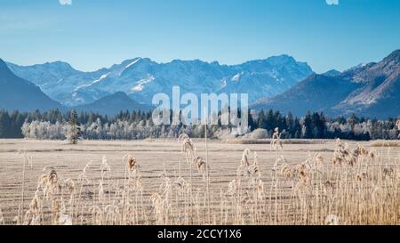 Blick über Murnauer Moos, hinter Wettersteingebirge mit Zugspitze, Murnau am Staffelsee, Bayern, Deutschland Stockfoto