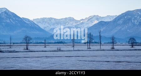 Blick über Murnauer Moos im Winter, hinter Wettersteingebirge mit Zugspitze, Murnau am Staffelsee, Bayern, Deutschland Stockfoto