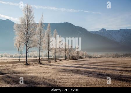 Blick über Murnauer Moos, hinter Wettersteinkette, Murnau am Staffelsee, Bayern, Deutschland Stockfoto