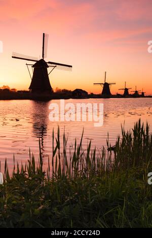 Windmühlen bei Sonnenaufgang, Kinderdijk, UNESCO-Weltkulturerbe, Zuid-Holland, Niederlande Stockfoto