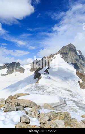 Blick von Altmann auf Studerhorn und Finsteraarhorn, Kanton Wallis, Schweiz Stockfoto