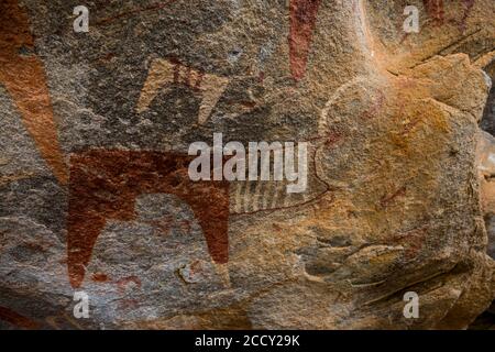 Höhlenmalereien in Laas Geel Höhlen, Somaliland, Somalia Stockfoto