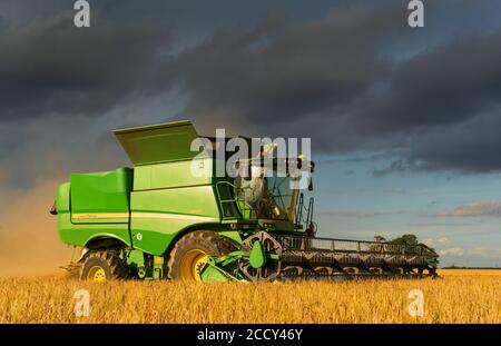 Kombinieren Sie Harvester Ernte Gerste in einem Feld. Stockfoto