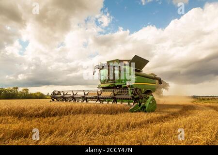 Kombinieren Sie Harvester Ernte Gerste in einem Feld. Stockfoto