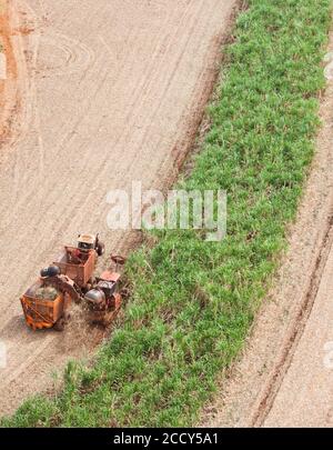 Luftaufnahme, Traktor während der Ernte auf Zuckerrohrfeld, Sao Paulo, Brasilien Stockfoto