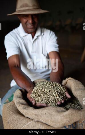 Vorarbeiter zeigt Kaffeebohnen vor dem Rösten in der Verarbeitungsanlage für Kaffeeplantagen in Itapira, Sao Paulo, Brasilien Stockfoto