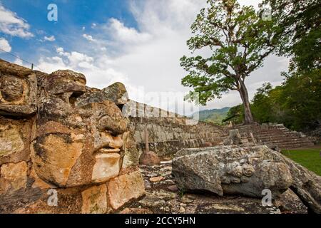 Der Osthof der Akropolis vom Tempel 22 aus gesehen, Copan Archeological Park, Honduras Stockfoto