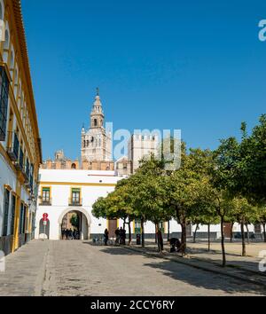 Patio de Banderas mit Glockenturm La Giralda, Real Alcazar de Sevilla, Santa Cruz, Sevilla, Andalusien, Spanien Stockfoto