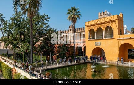 Mercurio Teich, Jardines del Alcazar, Gärten mit Palmen im Alcazar, Königlicher Palast, Real Alcazar de Sevilla, Sevilla, Spanien Stockfoto