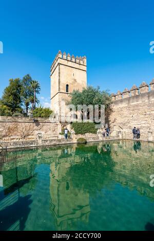 Turm in einem Brunnen reflektiert, Garten des Alcazar, Alcazar de los Reyes Cristianos, Cordoba, Provinz Cordoba, Andalusien, Spanien Stockfoto