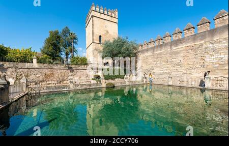 Turm in einem Brunnen reflektiert, Garten des Alcazar, Alcazar de los Reyes Cristianos, Cordoba, Provinz Cordoba, Andalusien, Spanien Stockfoto