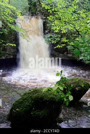 Die malerischen unteren Gastack Beck Falls in Deepdale in der Nähe des Dorfes Dent im Yorkshire Dales National Park, England. Stockfoto