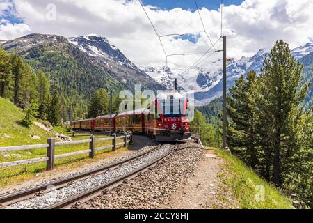 Rhätische Bahn vor dem Morteratschgletscher, Bernina Express, Bernina Pass, Engadin, Graubünden, Schweiz Stockfoto