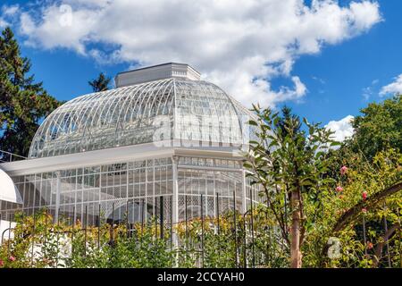 Gewächshaus in Albert Kahn Garten - Boulogne-Billancourt - Frankreich Stockfoto