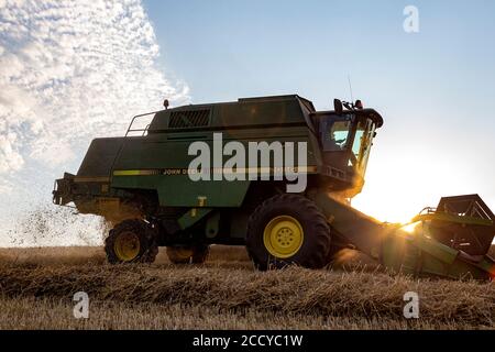 Ballenpressen in Devon Felder,Ackerfeld, Ballen, Getreidepflanze, Landwirtschaft, Herbst, Schönheit in der Natur, Kreis, in der Nähe, Nahaufnahme, Wolke - Himmel, Wolken Stockfoto