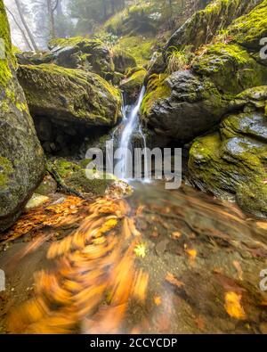 Kleiner Wasserfall im Bergbach mit Bewegungsunschärfe des Herbstes Blätter im Pool im Laubwald auf der halbinsel peloponnes in Griechenland Stockfoto
