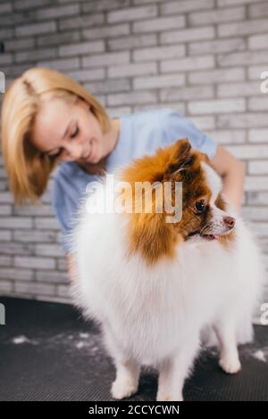 kaukasische Frau Haustier Groomer genießen ihre Arbeit mit Tieren, sie vorsichtig mit Haustieren umgehen, Weibchen in der Liebe mit Haushunden, Katzen und andere Tiere. Ha Stockfoto