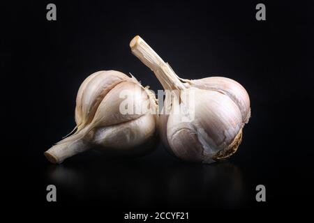 Zwei Knoblauchzehen mit einer Glasmatte auf schwarzem Hintergrund. Zwei Köpfe von ungeschältem Knoblauch auf schwarzem Hintergrund Stockfoto