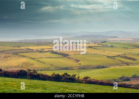 Landschaft zwischen Clonakilty und Galley Head, County Cork, West Cork, Republik Irland. Irland. Nebliger Tag. Stockfoto