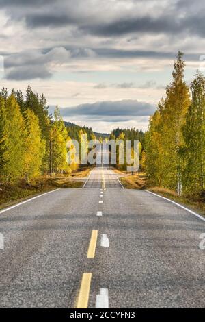 Highway in beautiful autumn forest in rural Finland Stockfoto
