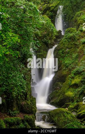 Stock Ghyll Force, Ambleside, Lake District, Großbritannien Stockfoto
