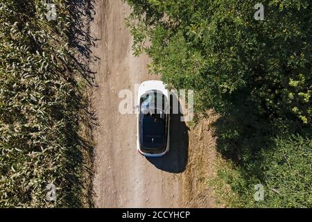 Luftaufnahme des modernen Autos auf der Straße in der Nähe des grünen Maisfeldes. Roadtrip auf dem Land. Auto-Performance auf unbefestigter Straße. Stockfoto