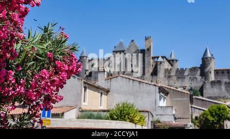 Blick auf das berühmte alte Schloss von Carcassonne in Frankreich. Stockfoto