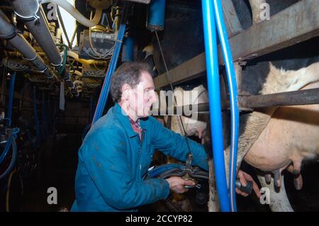 Milchviehhalter Melken Kühe mit Melkmaschine auf Bauernhof Yorkshire VEREINIGTES KÖNIGREICH Stockfoto