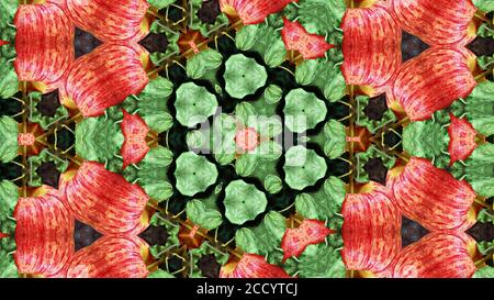 Digital Gestaltes Design Mit Kaleidoskop-Effekt Auf Red Apple Digital Design Mit Kaleidoscope Effekt Auf Red Apple Stockfoto